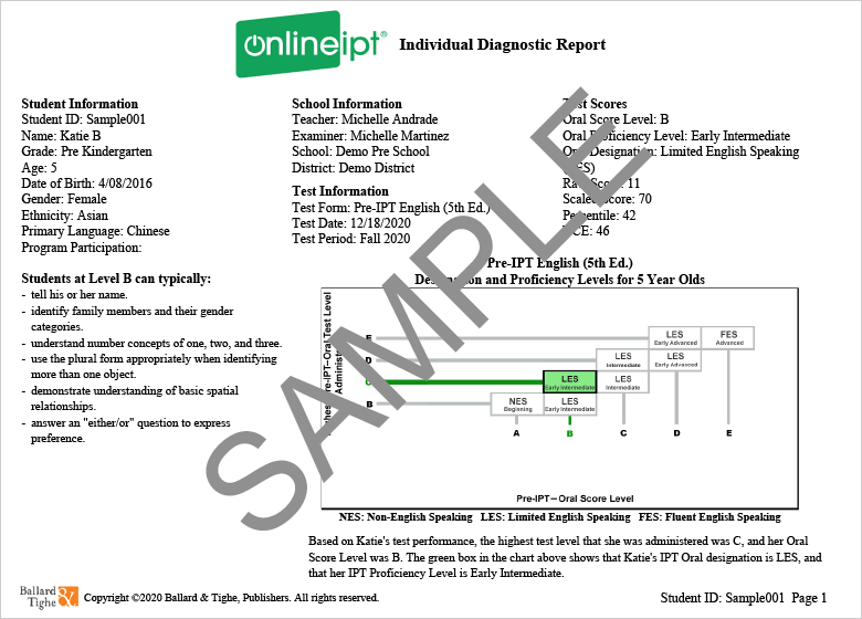 Student Diagnostic Report Sample